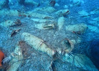 Roman Shipwreck near Cyprus