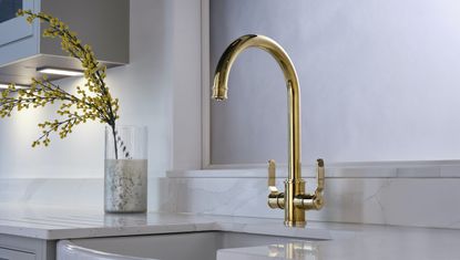 polished brass mixer tap 