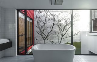 Interior view of the bathroom at Moor Street House featuring white tiles on the floor and walls, large windows offering a view of the Japanese maple tree outside and a white freestanding bath
