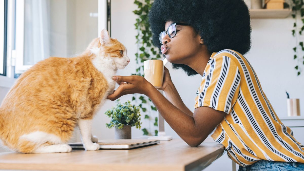 Woman stroking her ginger and white cat