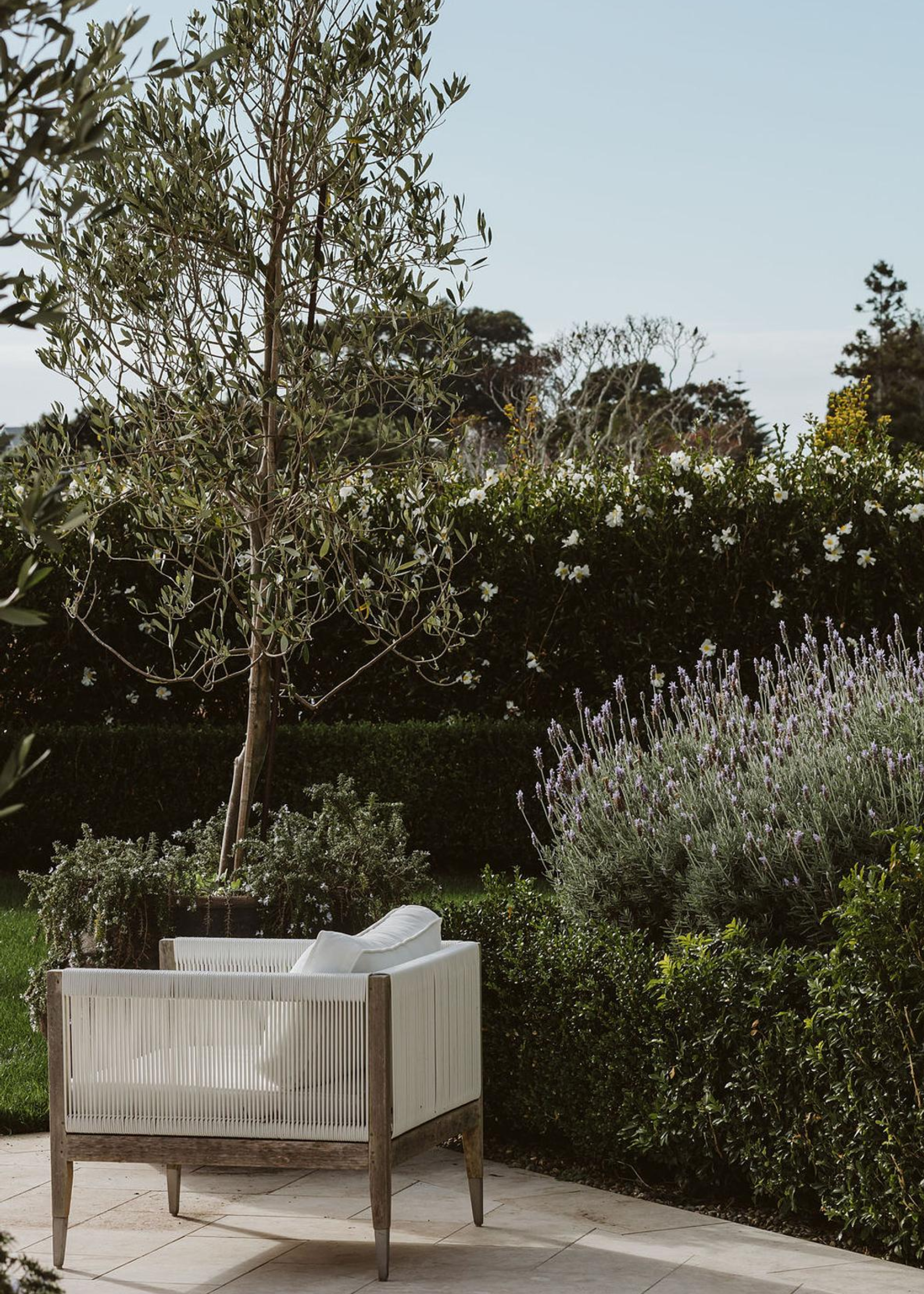 paved patio with single armchair surrounded by evergreen shrubs and lavender