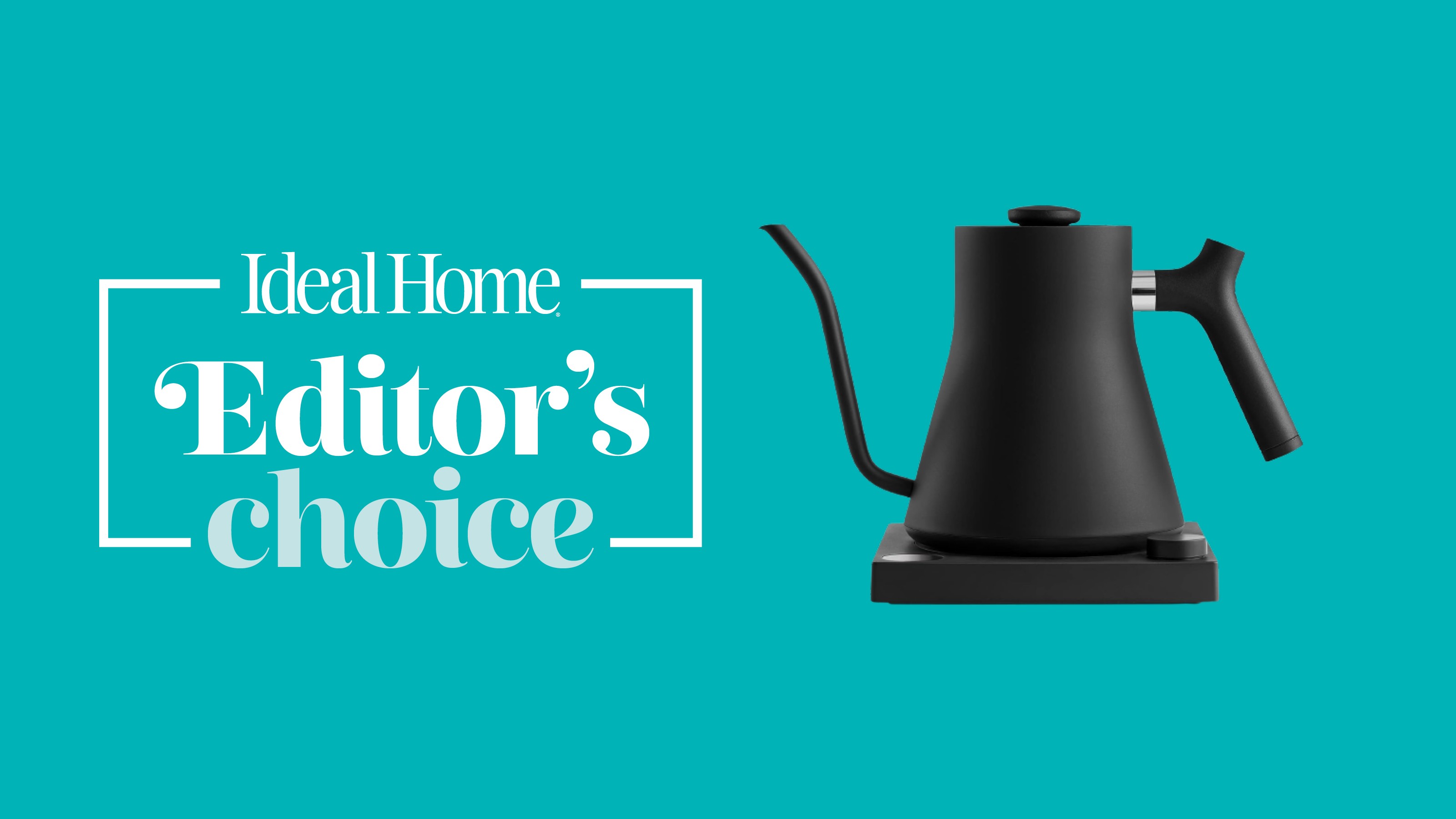 Fellow Stagg EKG Electric Gooseneck Kettle