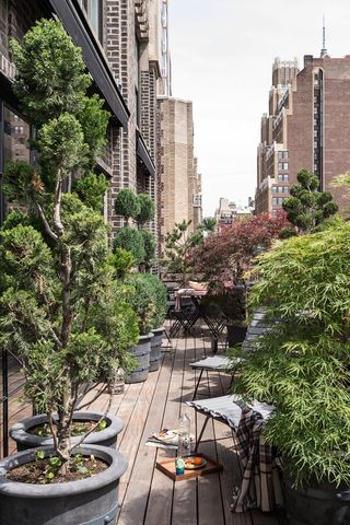 an urban balcony with lots of trees