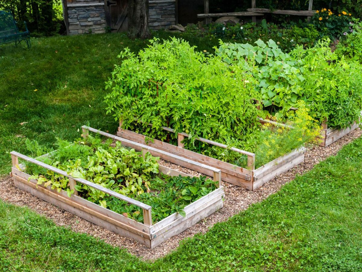 Raised Bed Vegetable Garden on a Slope - Gardening - Healthy Alyona