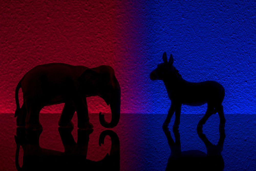 The Republican and Democrat mascots on a contrasting coloured background