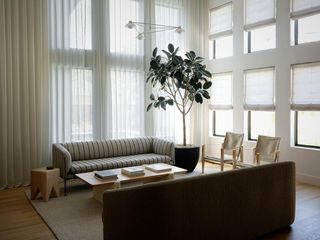 A living room with sheer curtains and mixed upholstery
