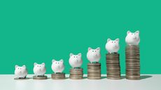Little white piggy banks standing on top of 7 stacks of coins in ascending order on white surface, green background