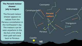 graphic illustration showing Perseid meteors originating from a point near the Perseus constellation.