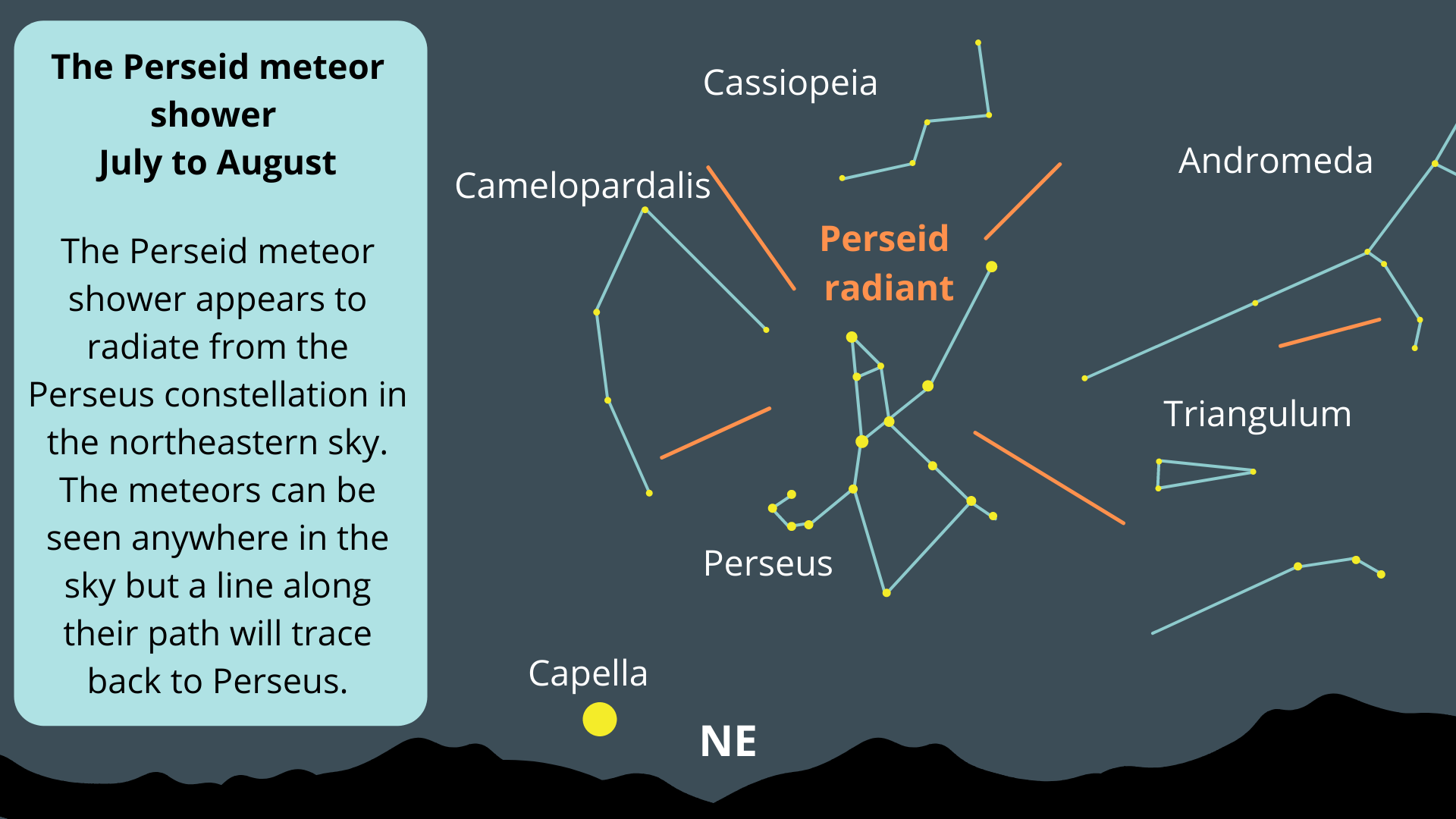 Diagram showing the perseid radiant located below Cassiopeia constellation. The meteors will appear to radiate from the Perseus constellation.