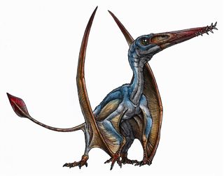 Pterosaur Illustration