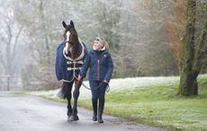 kauto-star.jpeg