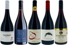 Chilean Pinot Noir wines