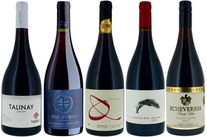 Chilean Pinot Noir wines