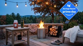 Fall Deals