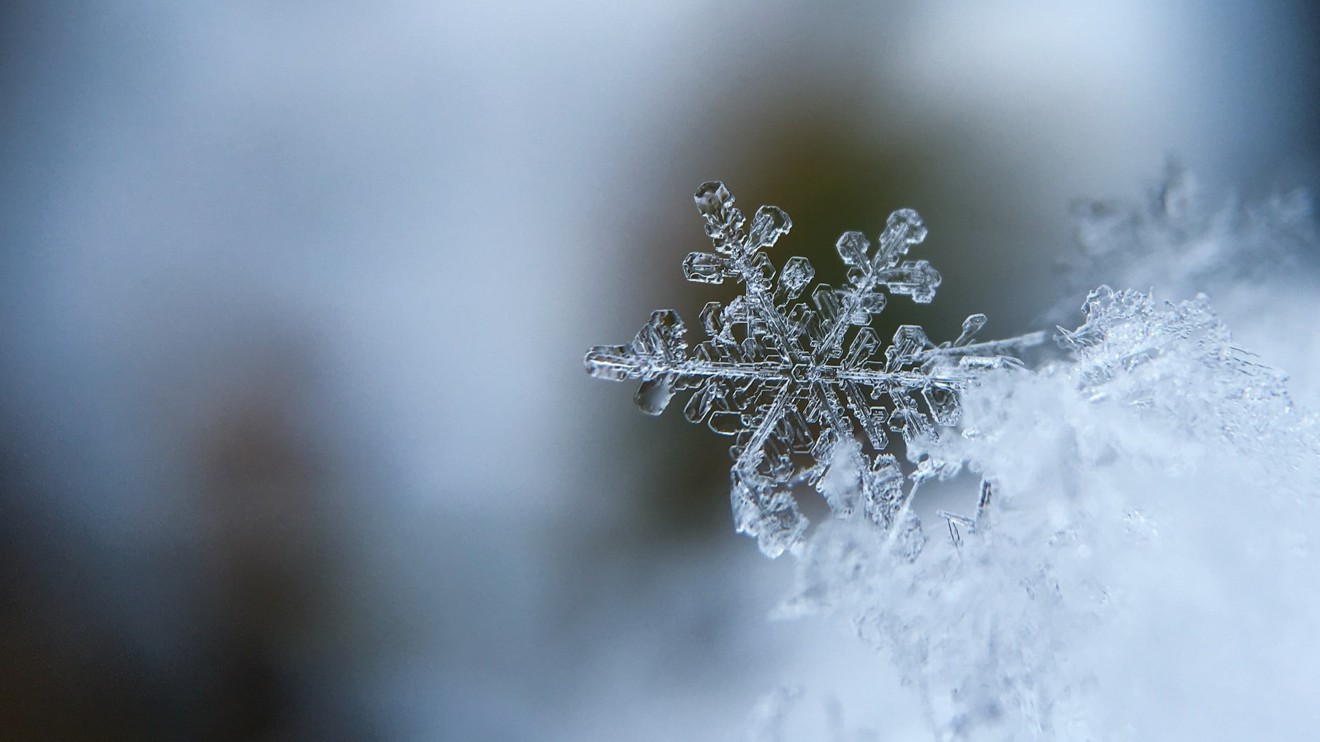 Närbild på en snöflinga mot en suddig bakgrund.