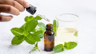 Image shows a bottle of peppermint essential oil that gets rid of bed bugs in a mattress