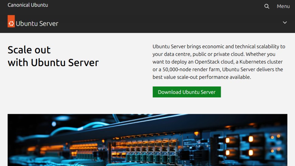 Website screenshot of Ubuntu Server (August, 2025)