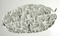 Artwork - leaf-shaped model with a maze of white veins