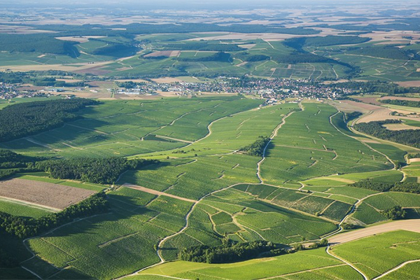 The-vineyards-of-Chablis.-Credit-www.chablis-wines.com-Bourgogne-Live-Aurelien-Ibanez.jpg