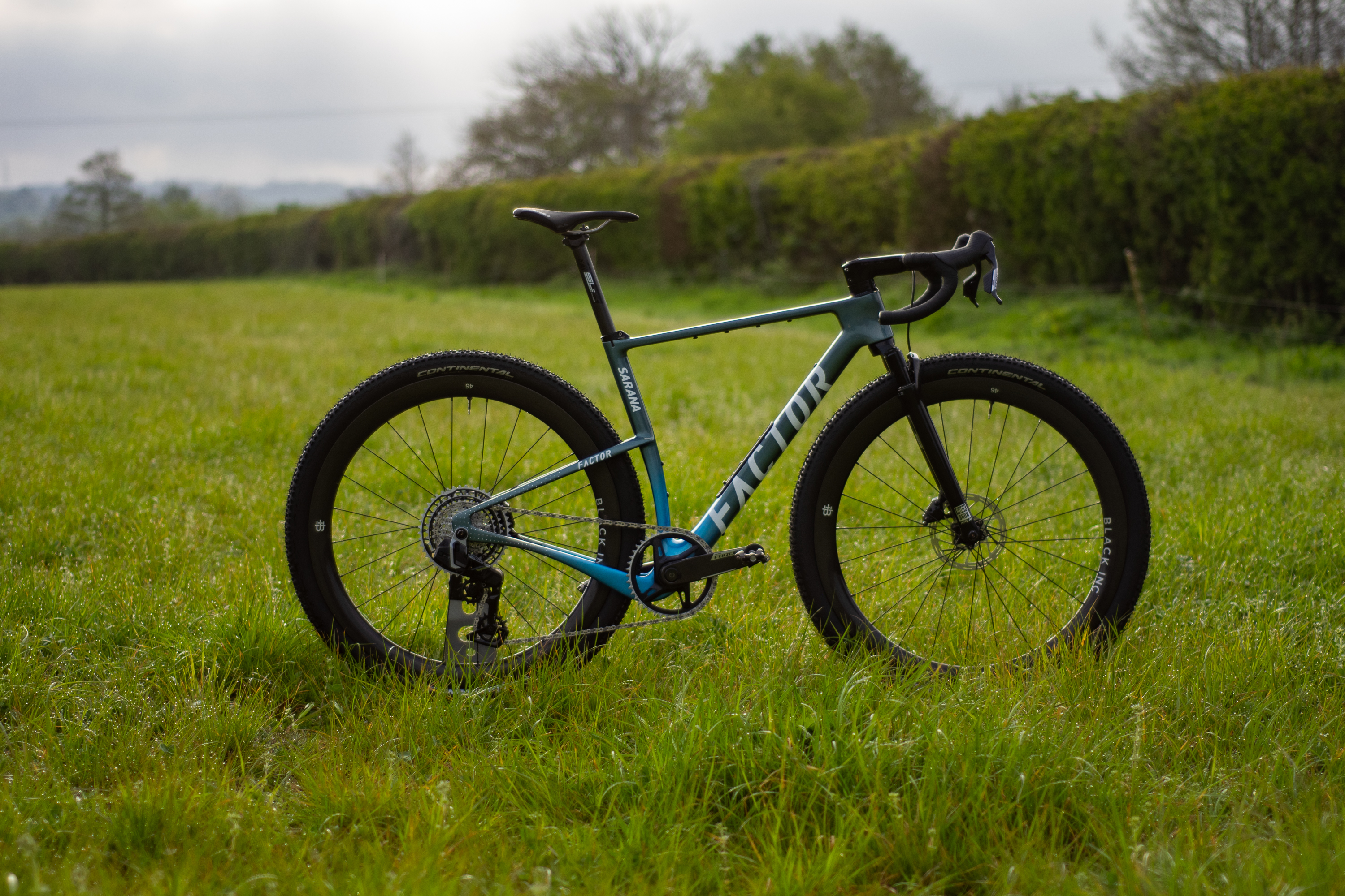 A blue Factor Sarana gravel bike in a grassy field with a hedge in the background
