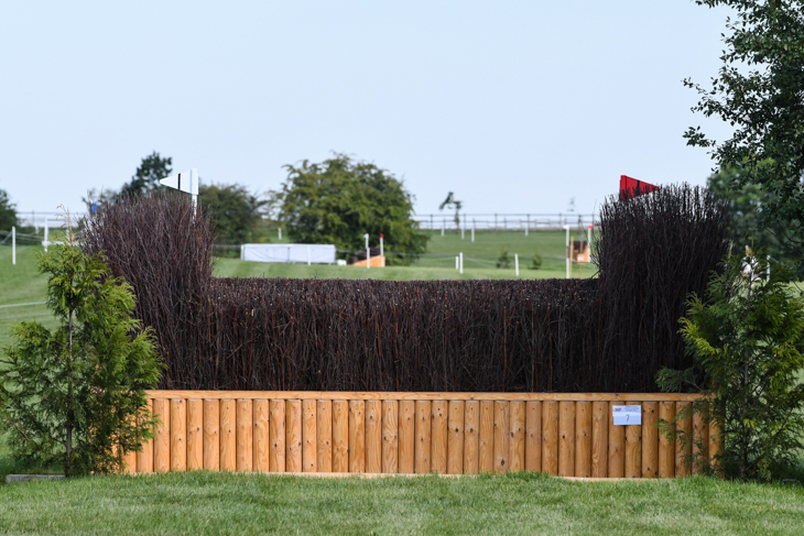 Fence 7