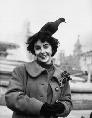 elizabeth taylor and bird