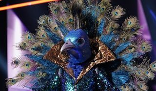 The Peacock The Masked Singer