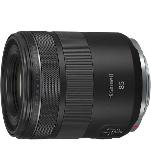 Best lenses for Canon EOS R6 Mark III, square image