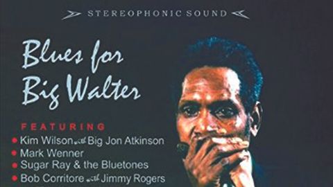 Various Artists: Blues For Big Walter album artwork