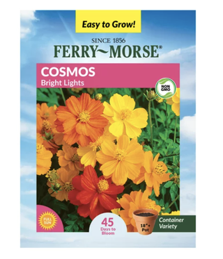 cosmos seed packet