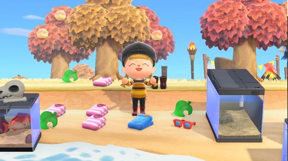 Animal Crossing New Horizons house storage — How to increase your