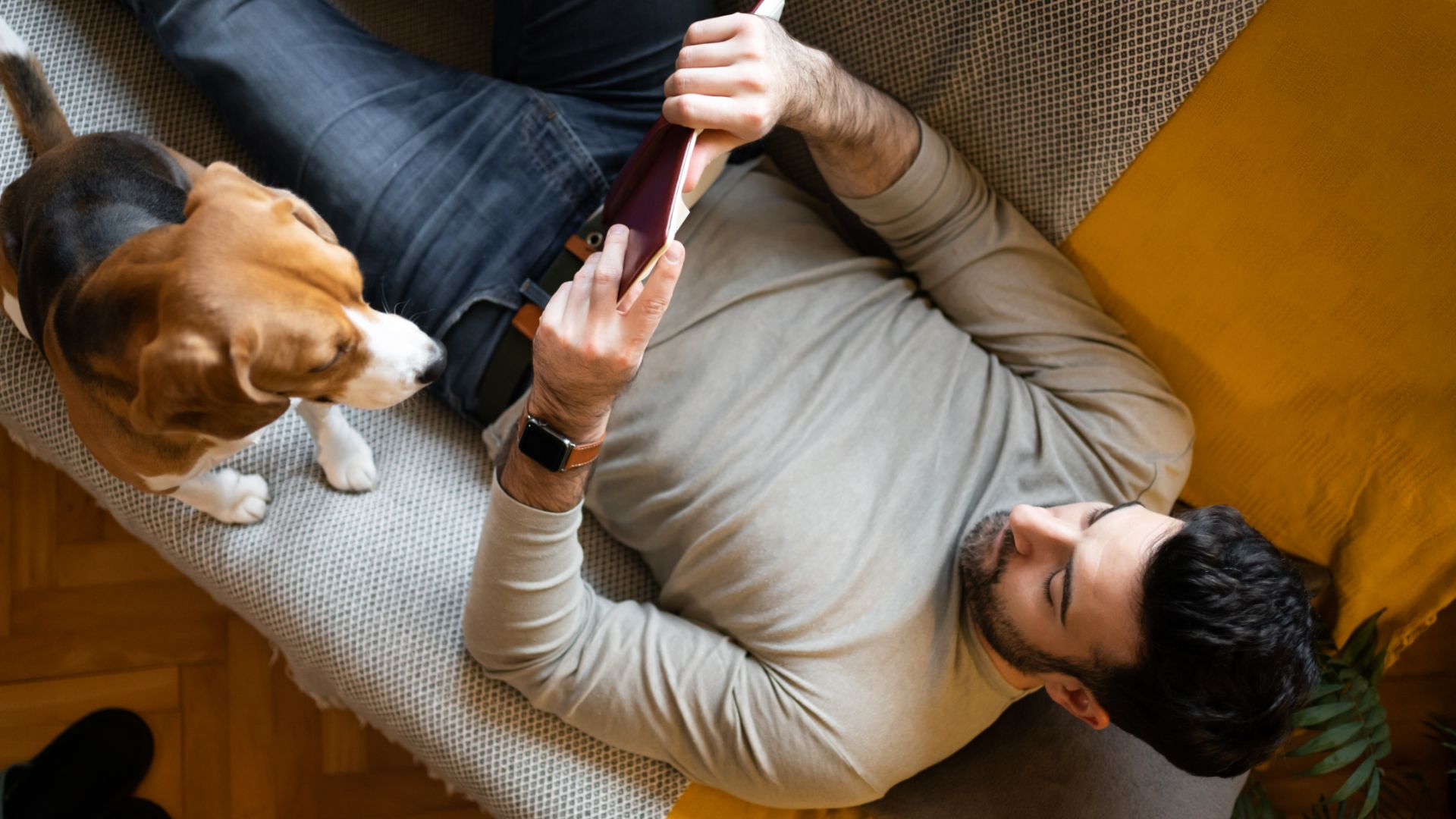 man lying on sofa reading with his beagle