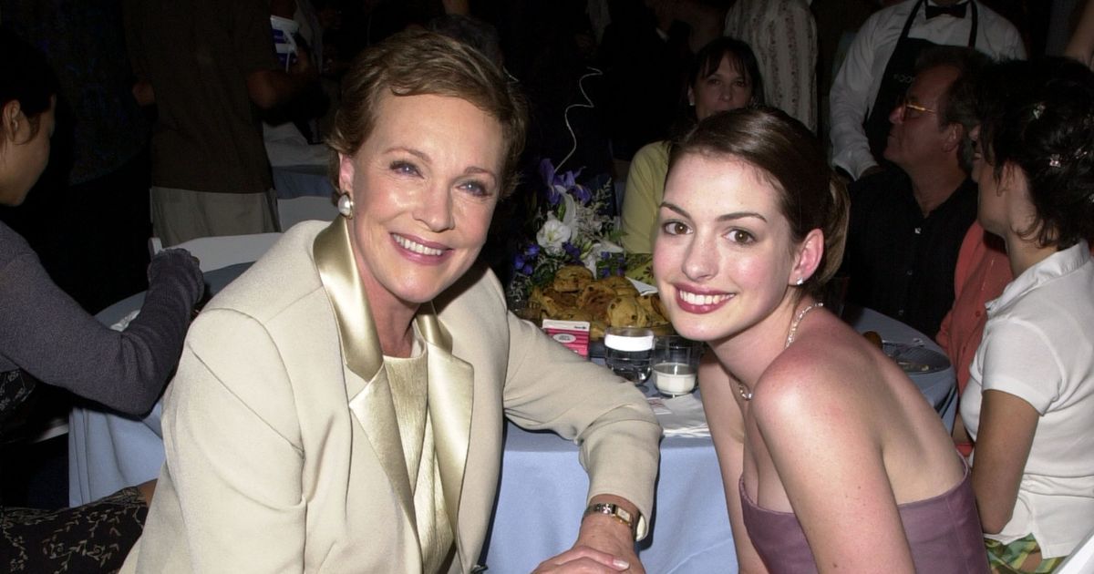 There has been a major update on the Princess Diaries 3 movie 