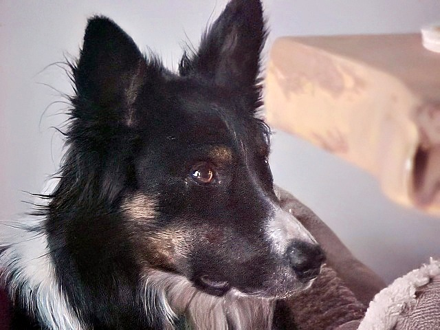 Sample image taken with Sony Mavica FD-73