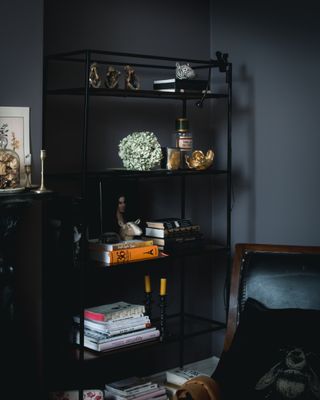 Dark and cozy room with shelving and armchair