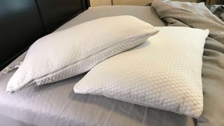 Two Molecule All-Season Pillows on a bed