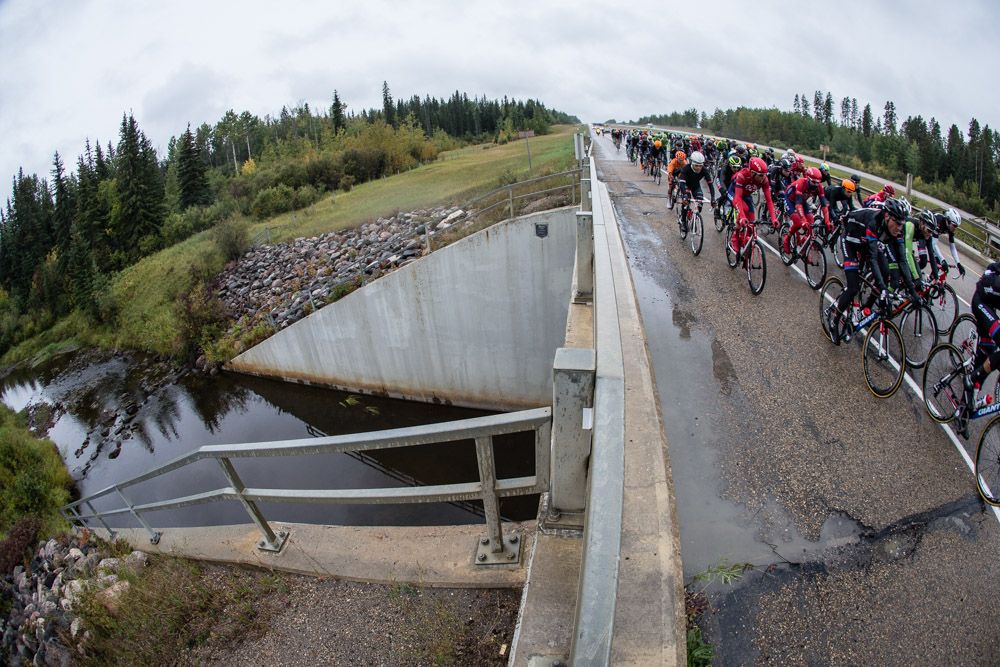 The peloton passes over Carrot Creek
