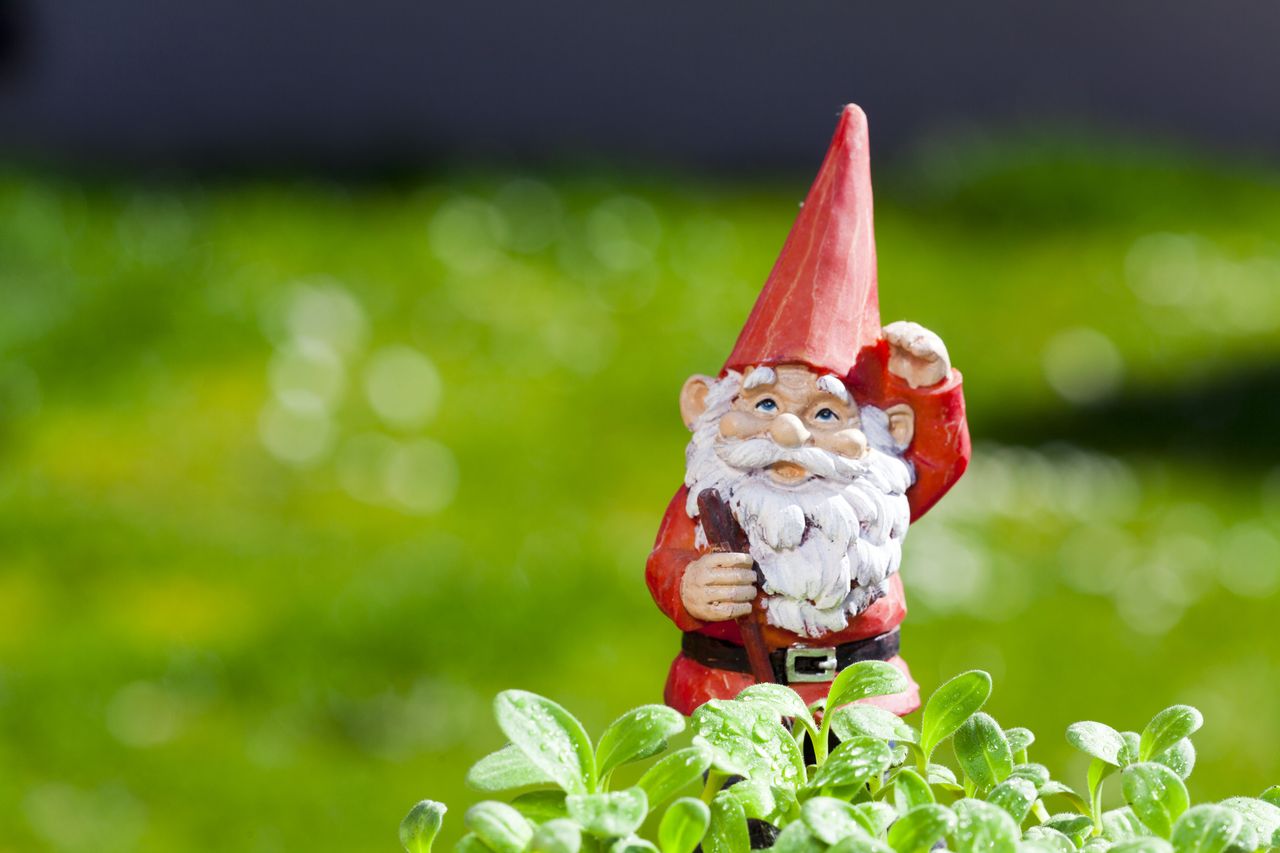 A garden gnome.