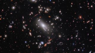 A wide-field view of galaxies and stars that have been gravitationally lensed