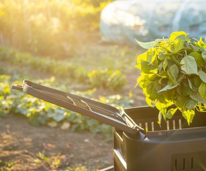 Guide to hot composting – expert advice on how to make it | Homes and ...
