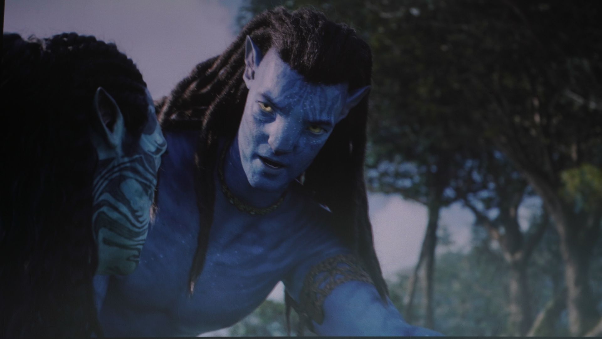 Valerion VisionMaster Pro 2 showing image from Avatar