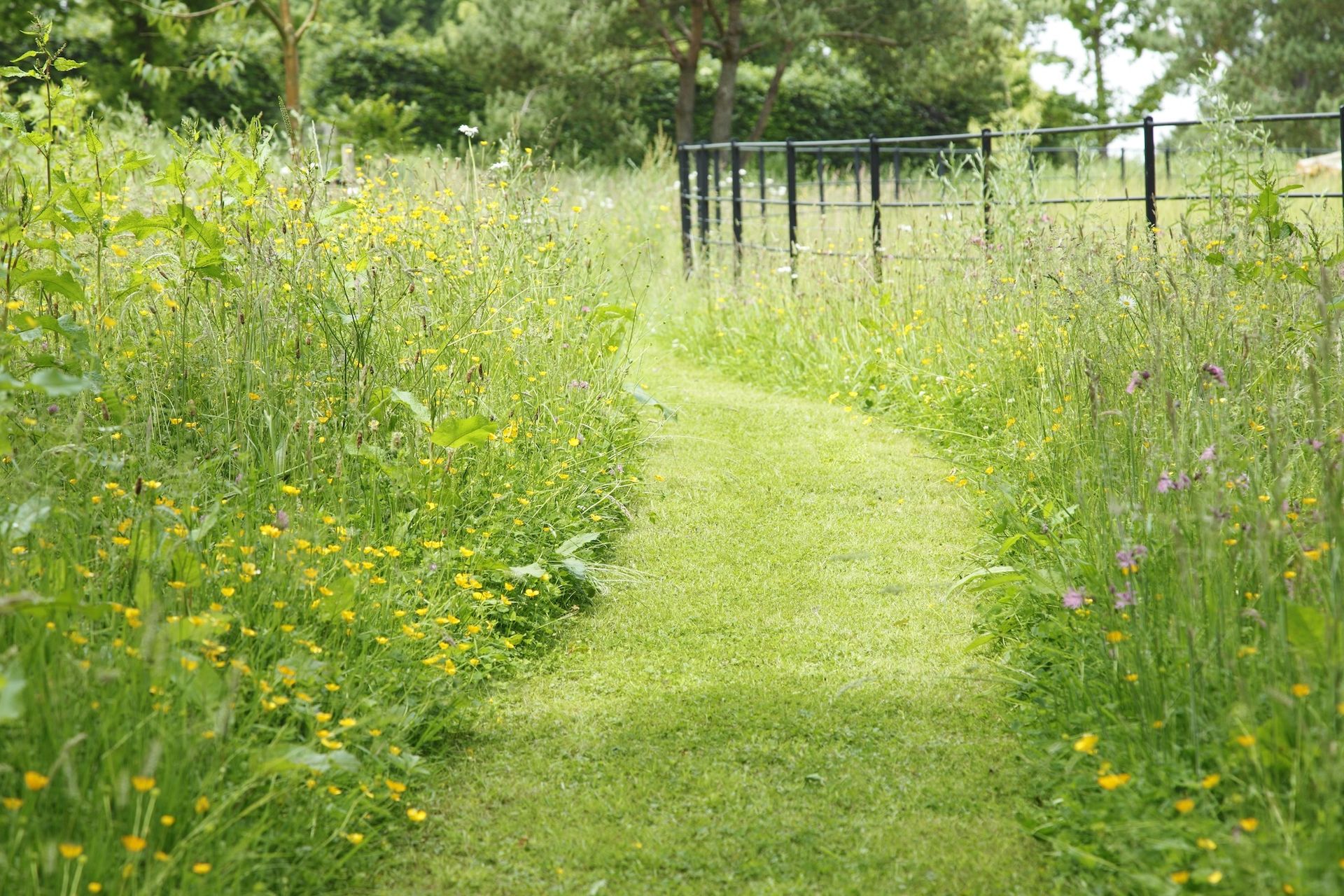 country garden ideas