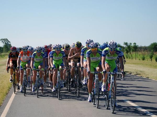 The peloton negotiate the flatter part of today's stage