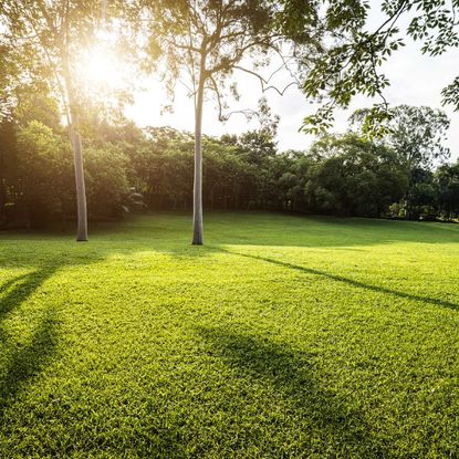 Sun setting over a lawn