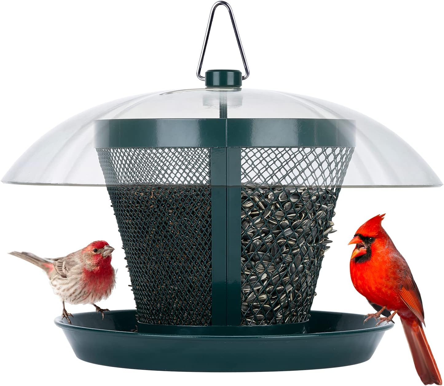 Kingsyard Bird Feeder for Outside Metal Mesh Wild Bird Feeder With Weatherproof Dome Dual Feeders 2.5 Lbs. Seed Capacity for Finch Cardinal