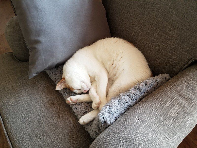 Galaxy Note 8 camera sample