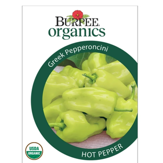 Packet of pepper seeds