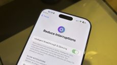 Apple iPhone 16 Pro Max Reduce Interruptions Apple Intelligence