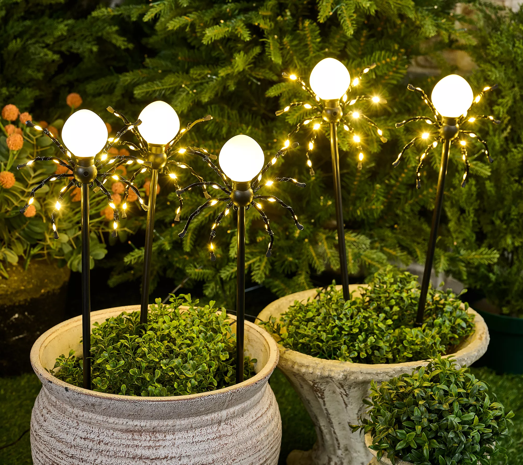 Martha Stewart S/5 Illuminated Indoor/outdoor 20&quot; Spider Stake Lights