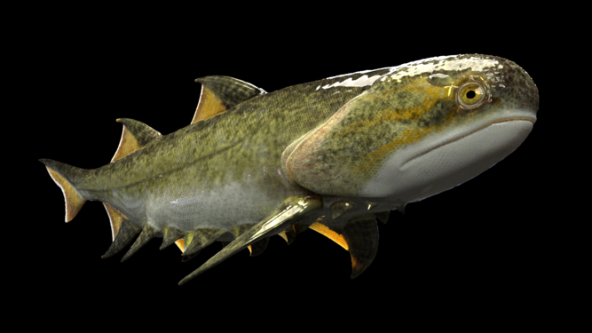 Another reconstruction of the ancient fish.